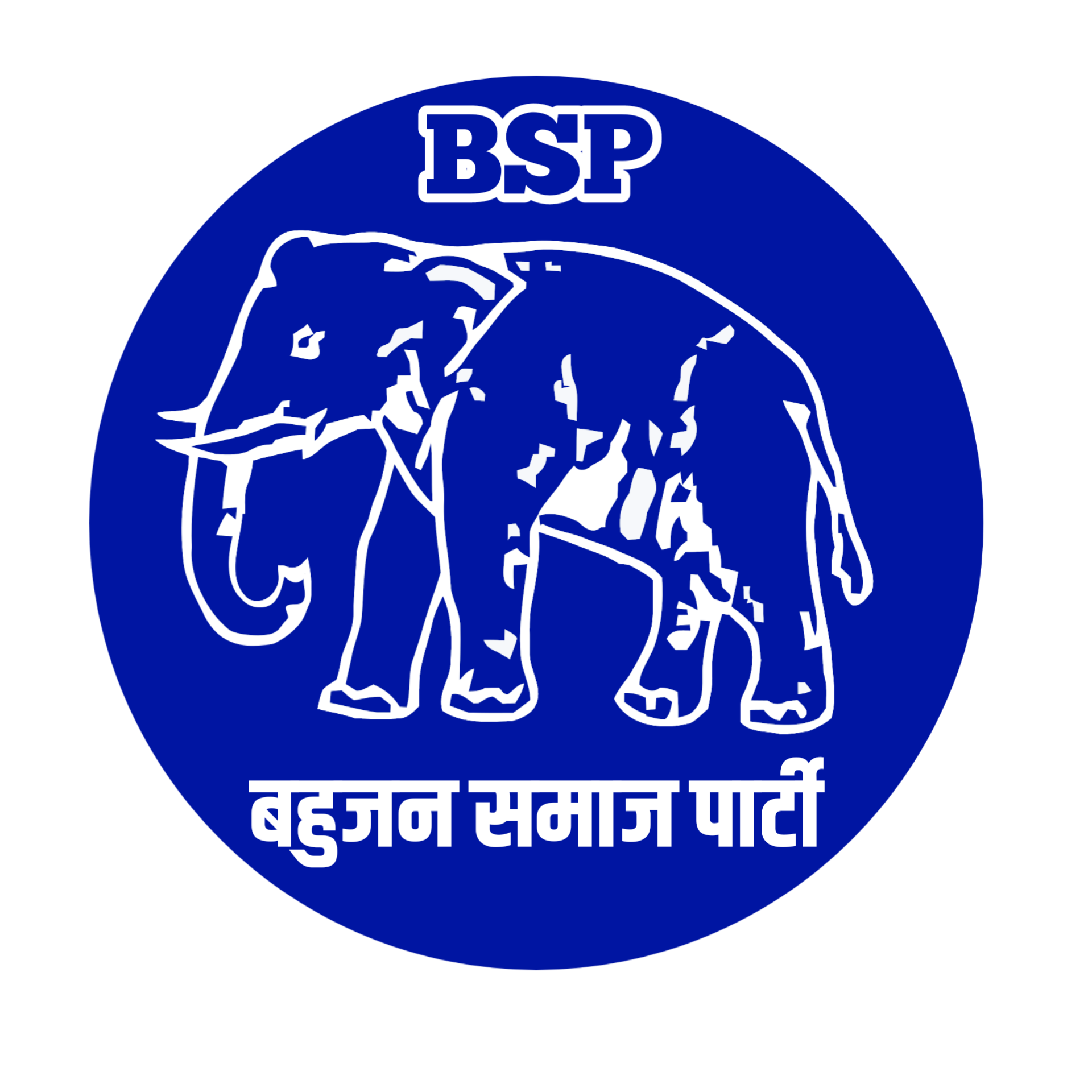 Bsp Logo Png Images 5642